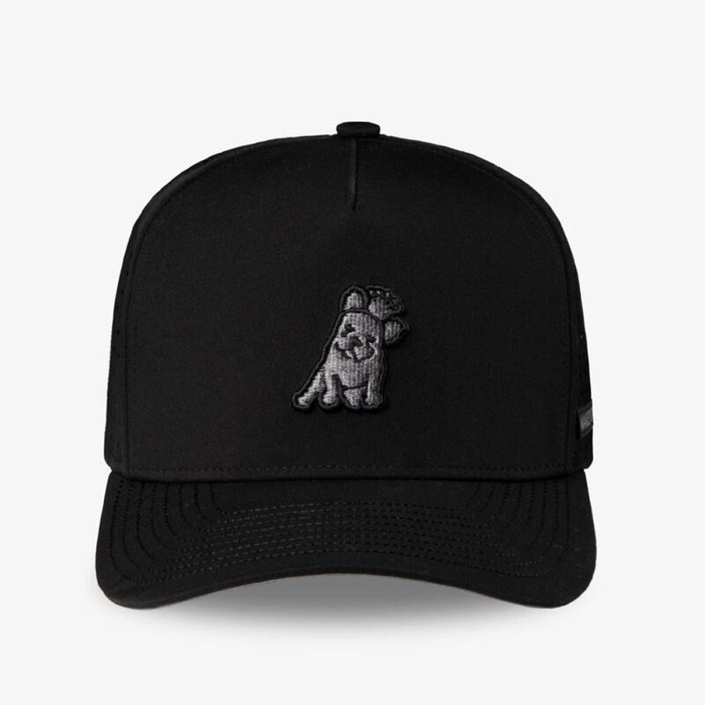 French Bulldog Black Baseball Cap by James Bark