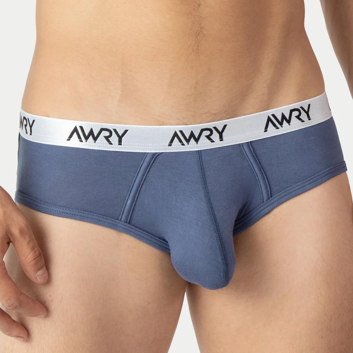 Signature Stone Blue Briefs by Awry Menswear